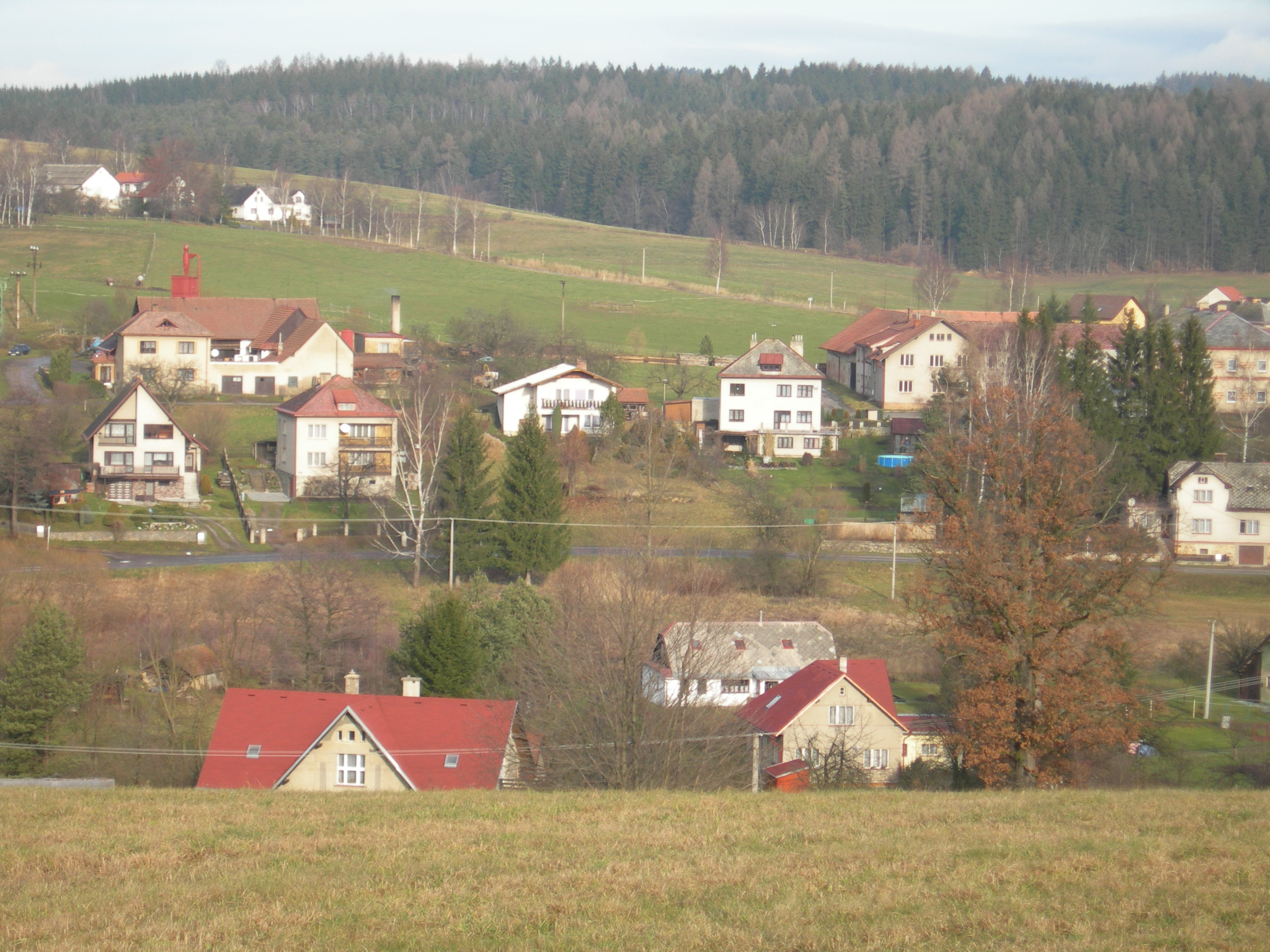 DSCN0007 (2)